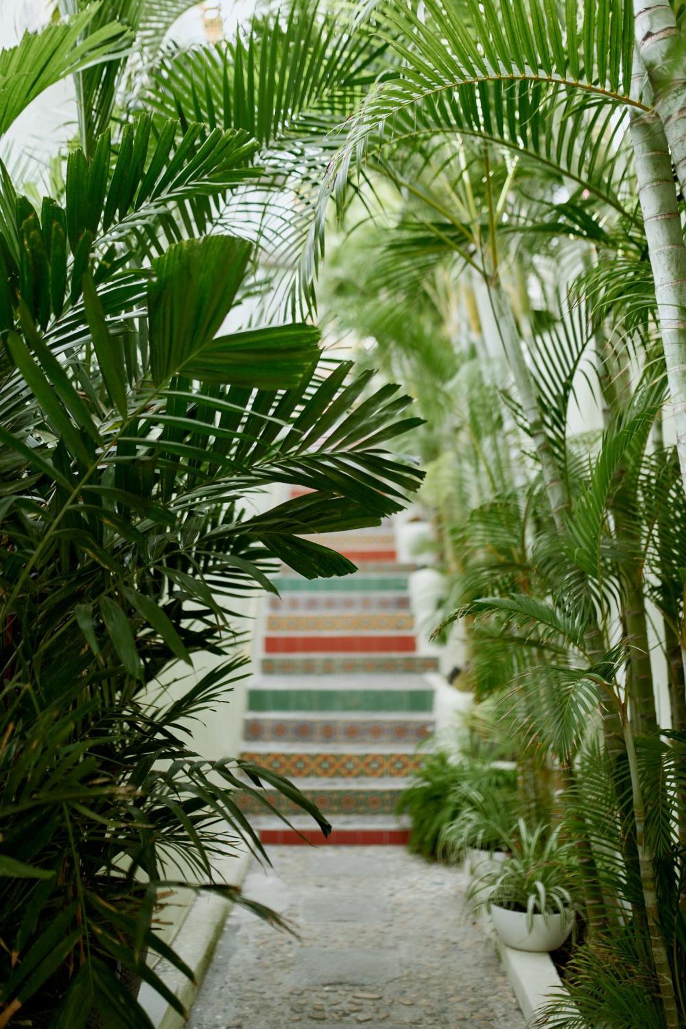 Hotel Ysuri Bucerias Bagian luar foto